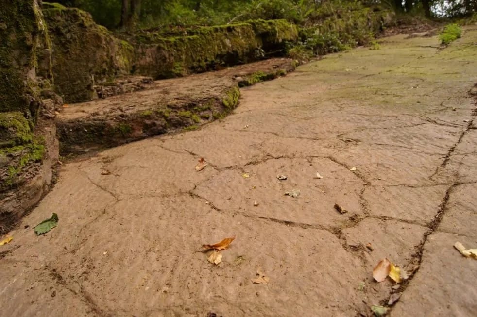 Tag des Geotops 2026: Magie aus Licht und Stein, Bausteine des Altenberger Doms